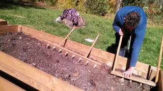 Using a homemade garlic multi dibbler to save time and plant with more consistent spacing [upl. by Cally]