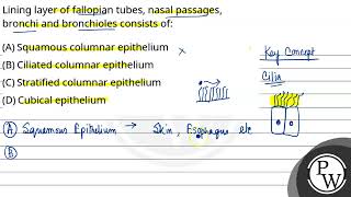 Lining layer of fallopian tubes nasal passages bronchi and bronchioles consists of [upl. by Corilla]