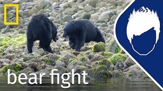 Bear Fights to Save Her Cubs Episode 8  wildlife with bertie gregory [upl. by Gallenz415]