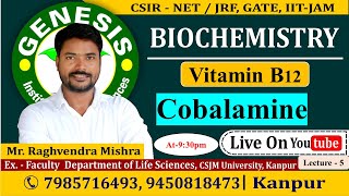 Vitamin B12  Cobalamine  Lecture5  New online quotBatchquot for CSIR NETJRF  IITJAM [upl. by Atsahs]