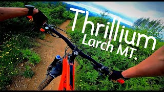 Thrillium  Larch Mountain MTB 4K [upl. by Jeffry]