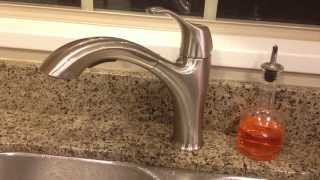 REVIEW Costco WR Water Ridge Pull Out Faucet Brushed Nickel [upl. by Gracie]