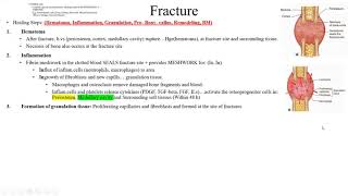 Pathology Made EasySystemic Pathology 7Bone and Joint diseases and STTs2 [upl. by Larine721]