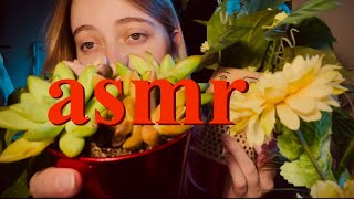 asmr with plants whispering tapping scratching and more [upl. by Sirovaj]