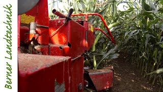 Maisernte mit Pöttinger Mex ProfiK  GoPro Hero 3 Black  Corn Harvest [upl. by Aloibaf109]