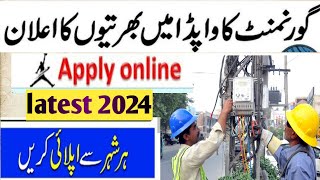 Water And Power Development Authority WAPDA Jobs 2024latest today pk jobs 2024 [upl. by Aniehs]