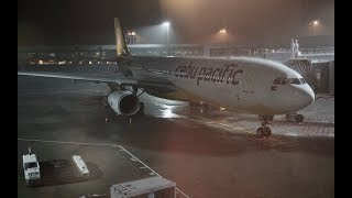 🇸🇬🇵🇭 Cebu Pacific A330300 Flight Experience 5J804 Singapore → Manila [upl. by Attenoj]