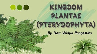 Kingdom Plantae  Pterydophyta  Biologi Kelas X [upl. by Iahcedrom539]