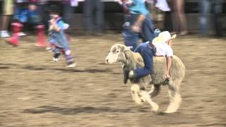 Spanish Fork Rodeo mutton busting [upl. by Albion795]