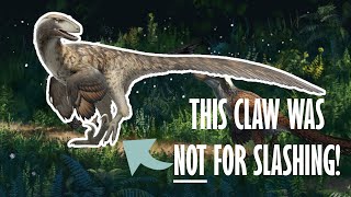 Everything you need to know about Raptors [upl. by Aiak]