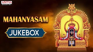 Mahanyasam Jukebox  Sri Hari Achyuta Rama Sastri  Sanskrit Devotional  shivasongs bhaktisongs [upl. by Amaty]