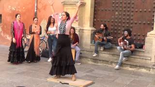 Flamenco dance 1 in Granada 2015 [upl. by Chil]