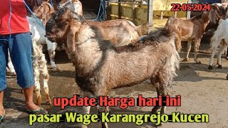 UPDATE HARGA HARI INI PASARAN WAGE KARANGREJO KUCEN [upl. by Demetra]