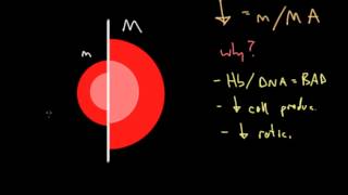 Clinical Approach to Anemia [upl. by Oniratac712]