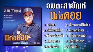 อมตะ สายัณห์ สัญญา ชุด แก่งคอย Official Playlist [upl. by Derfliw]