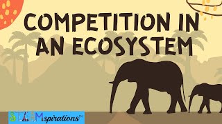 Competition in an Ecosystem Mutualism Intraspecific Interspecific Relationships [upl. by Toile593]