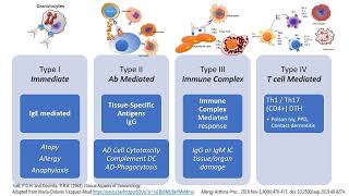 Hypersensitivity Types I to IV in less than 2 minutes [upl. by Reivad]