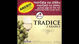 Morčata na útěku  Hanácká Tradice z krabice 2013 [upl. by Kolivas]