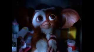 Gremlins soundtrack  Gizmo Theme Jerry Goldsmith [upl. by Atileda]