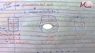 5 Properities of Protein amp Derived Protein [upl. by Yramliw]