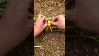 Xing Shu teaches how to use practical knots for tying vegetables [upl. by Gernhard]