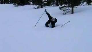 Skiing Norway  The big Ostrich Fall [upl. by Dinan974]