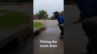 Catching Fish in the Street Drain [upl. by Berners619]