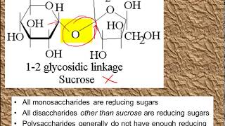 Monosaccharides and Disaccharides for ALevel Biology [upl. by Proudman147]