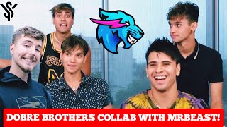 Do Dobre Brothers Collab with Other YouTubers New 2024 Update mrbeast dobre youtubestar7779 [upl. by Arianna]