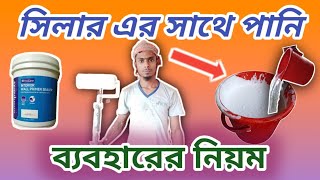 সিলার ব্যবহারের নিয়ম ।। Rules for using sealer দেয়ালে সিলার ব্যবহারের নিয়ম  সিলার কাজ [upl. by Leinto]