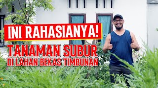 Rahasia Tanaman Subur Tips Murah Meriah Untuk Kebun di Halaman Rumah [upl. by Stillmann105]