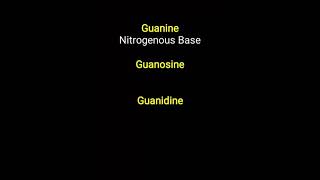 Guanosine vs Guanidine [upl. by Charlet532]