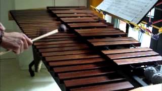 Eluveitie  Thousandfold Marimba cover [upl. by Iggep]