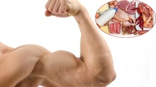 Quante proteine servono per mettere su muscolo [upl. by Adnovahs]