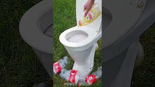 Coke vs Mentos in Toilet shorts [upl. by Ihteerp987]