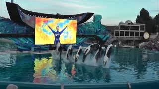 Final Performance of One Ocean  SeaWorld San Diego  HD [upl. by Enel]