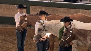 4H Horses  Iowa State Fair 2013 [upl. by Airret423]