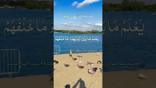 London Hainault Fairlopmostbeautifulvoicedil ko sukun Dene Wali Ayatul Kursi [upl. by Vogeley]