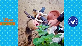 Best FUNNY Videos 2024 😂😁 1 Hours Funny Moments Of The Year Compilation P8 [upl. by Ennovihc651]