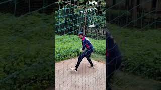 Powerful Front Foot Drive Practice  Cricket Batting Practice cricket shortsyoutubeshorts video [upl. by Frodina]