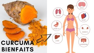 Curcuma Bienfaits  10 Bienfaits du curcuma sur la santé  Sante Naturelle [upl. by Ueih842]