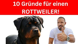 Die 10 wichtigsten Gründe für einen Rottweiler 🐶 [upl. by Sajovich95]