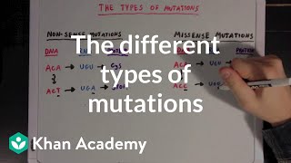 The different types of mutations  Biomolecules  MCAT  Khan Academy [upl. by Ailefo]