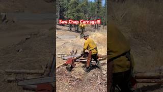 STIHL 500i vs Saw chaps wildlandfirefighters stihl stihl500i [upl. by Misa]