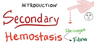 Secondary Hemostasis  How Your Blood Clots Coagulation  Hematology [upl. by Pieter776]