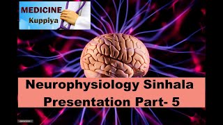 Neurophysiology Sinhala Presentation Part  5 [upl. by Ylrae]