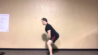 Plate Swings with Dr Joel Seedman [upl. by Anaujal]