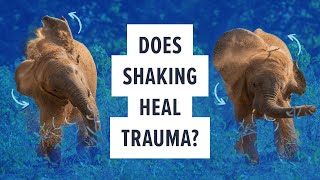 Does shaking heal trauma [upl. by Eelrak]