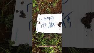 በክርስቶስ In Christ  new protestant mezmur  protestantmezmure shorts music mezmur [upl. by Alemat]