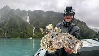 600 mi Alaska Road Trip  Eating What I Catch [upl. by Annayk]